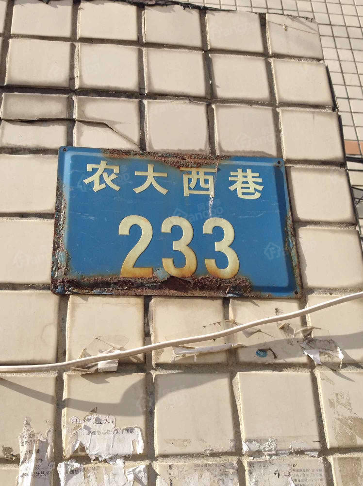 市三建宿舍（莲池区）小区图片