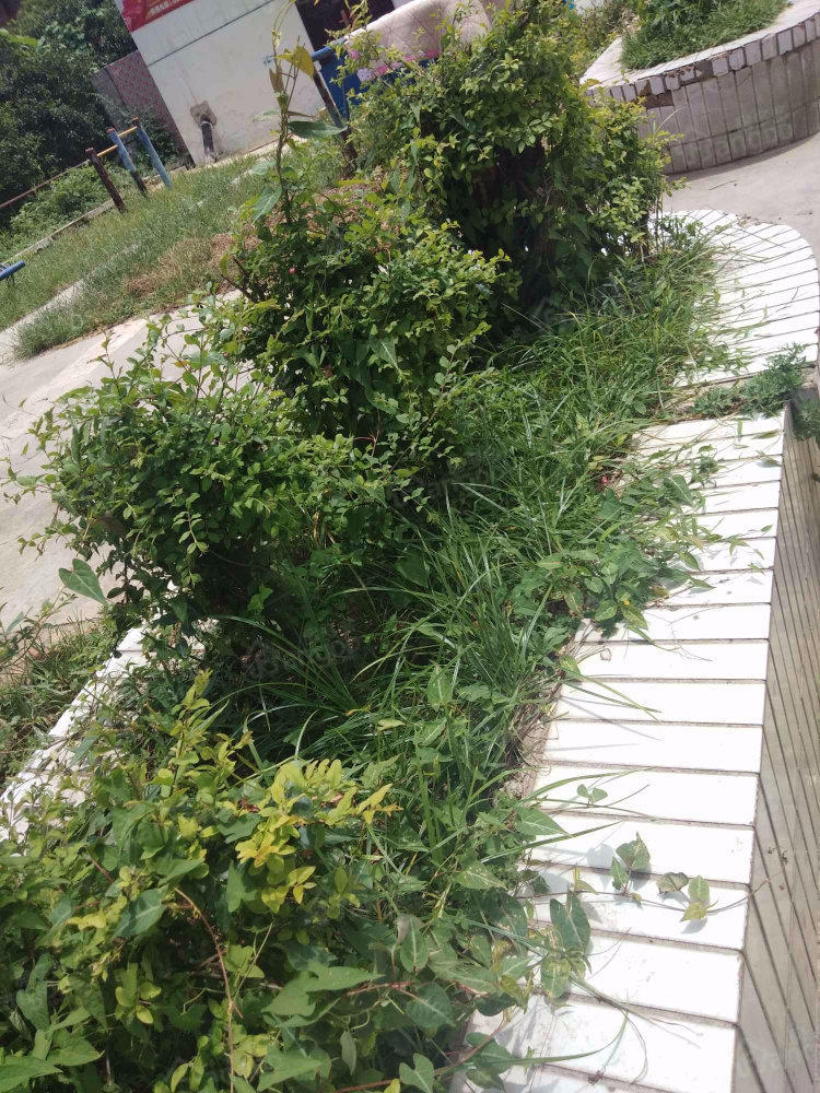 菊花洞路社区小区图片