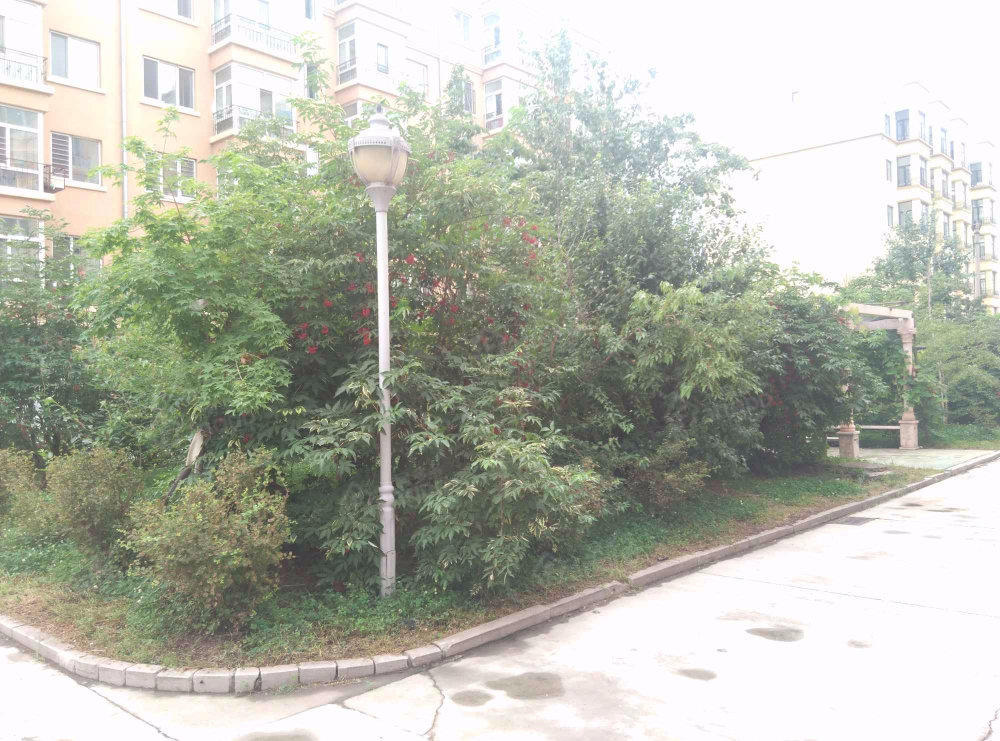 尚林名苑(二期)小区图片