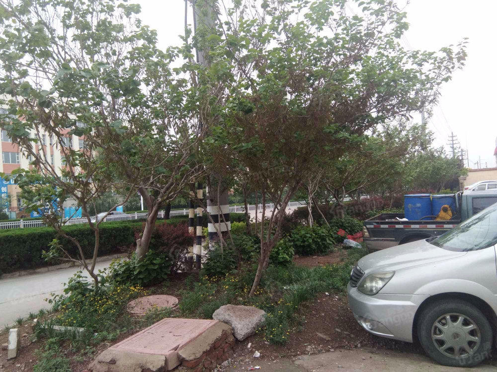 老农行家属院小区图片