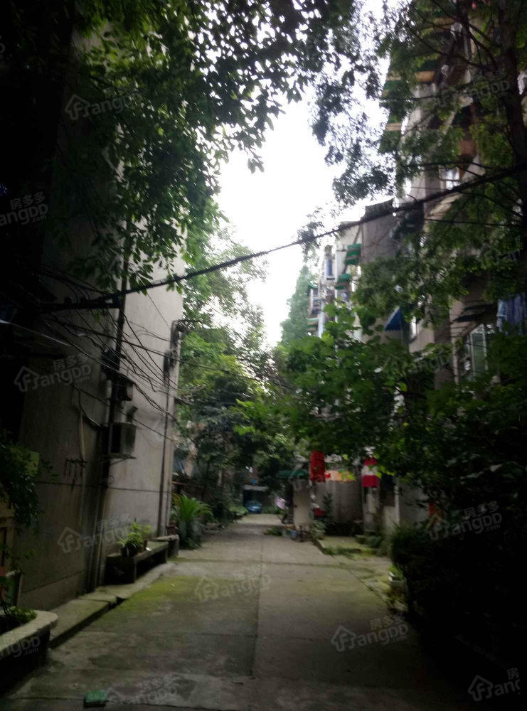 三槐树路6号小区图片