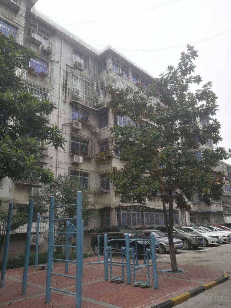 建设局家属院小区图片