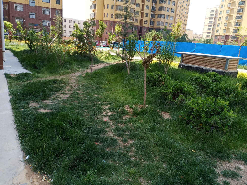 新城名都小区图片