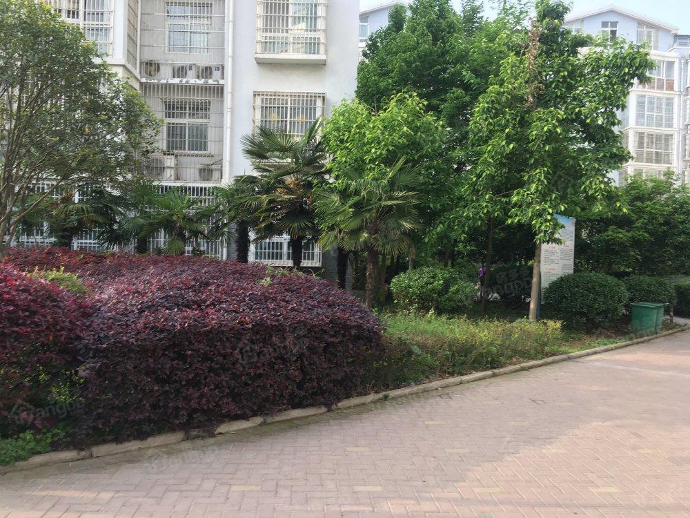 贤山天下城小区图片
