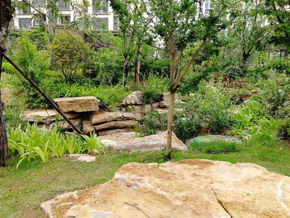 荣盛沂河馨苑(C区)小区图片