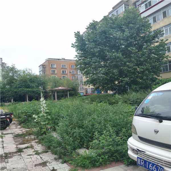 鼎新小区小区图片
