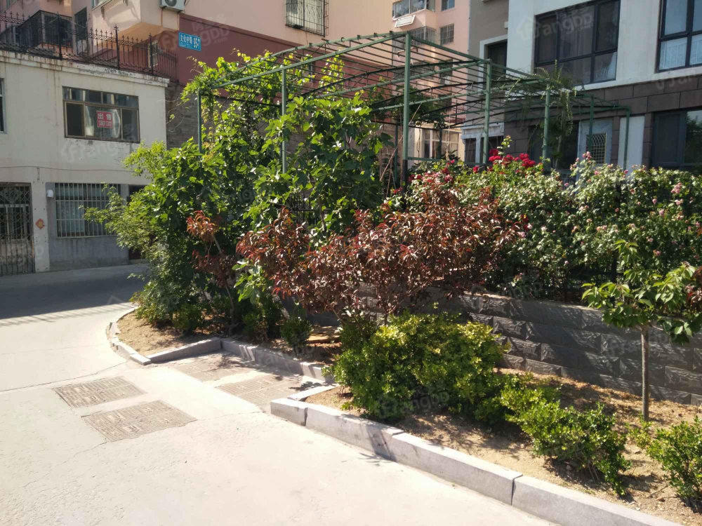 龙泉花园图片
