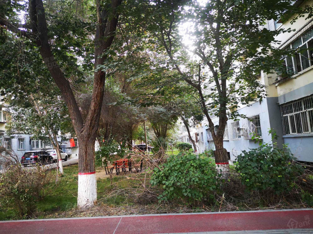 民航南区小区图片