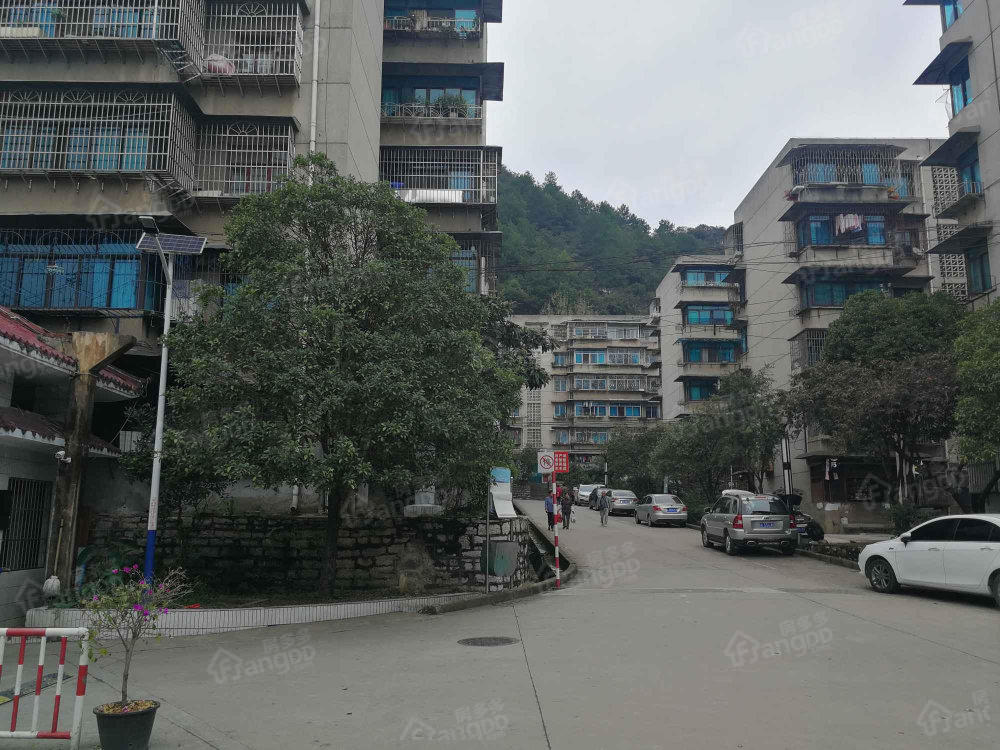 3537厂生活小区小区图片