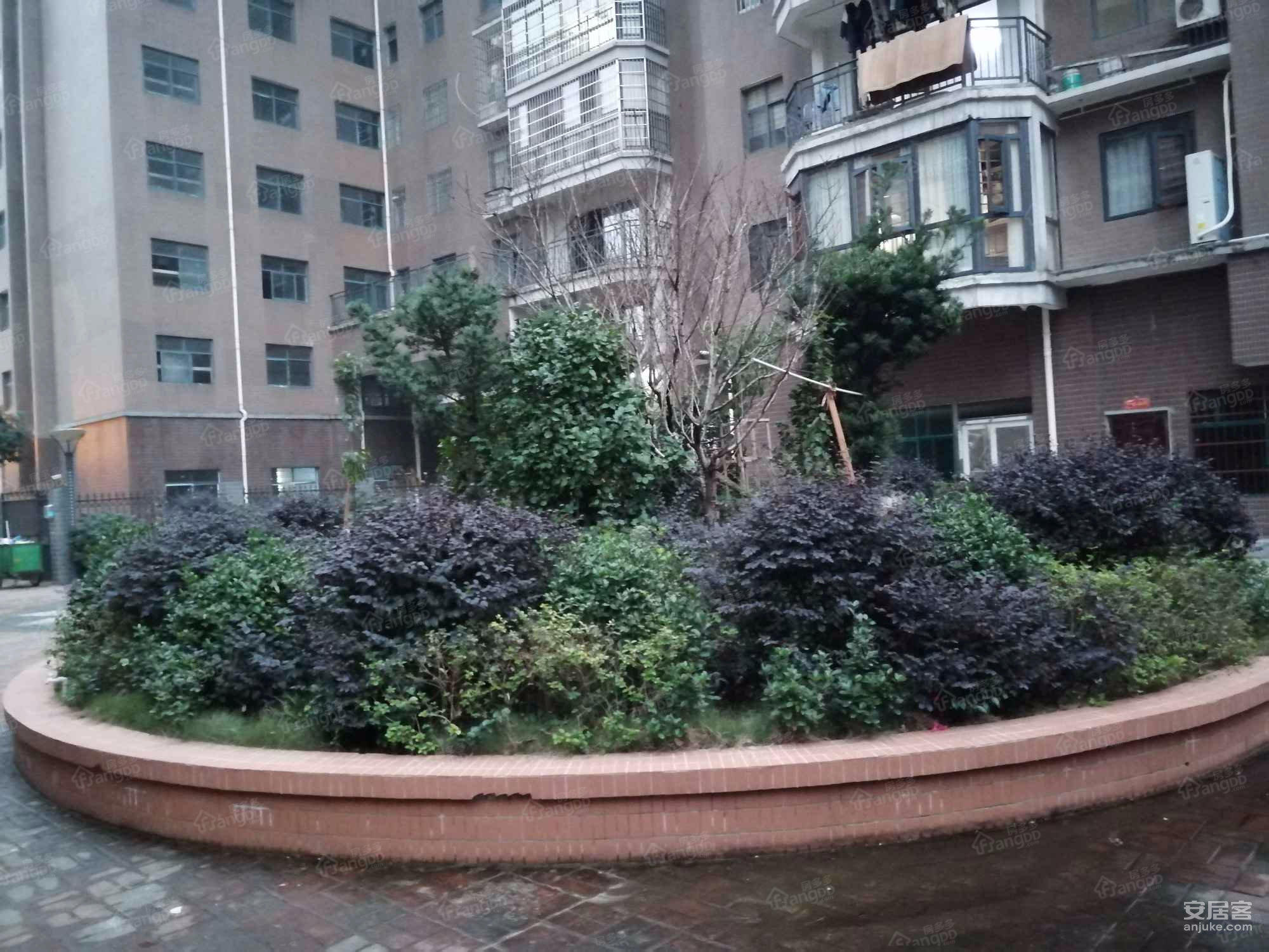 鑫城茗都图片