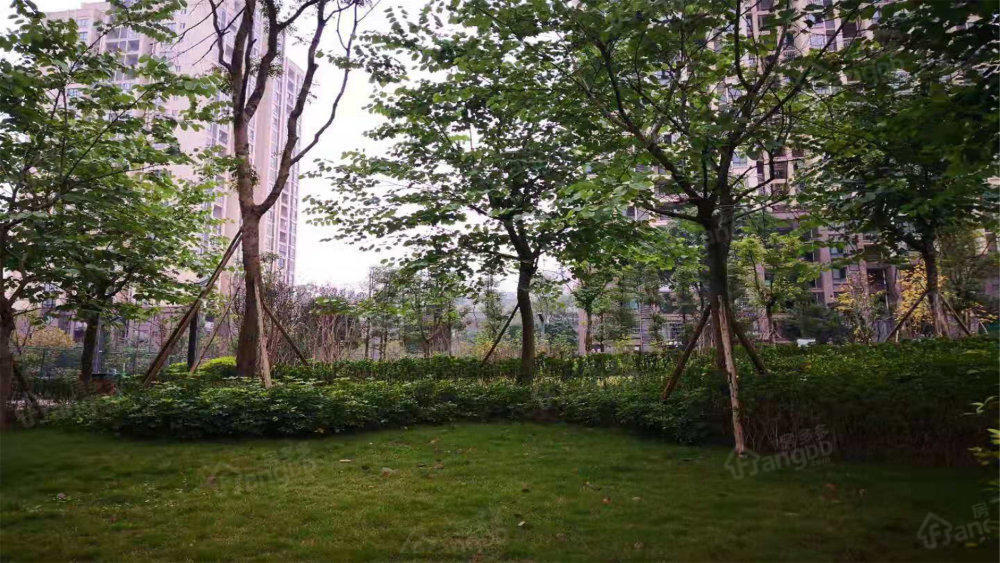 和泽家园B区小区图片