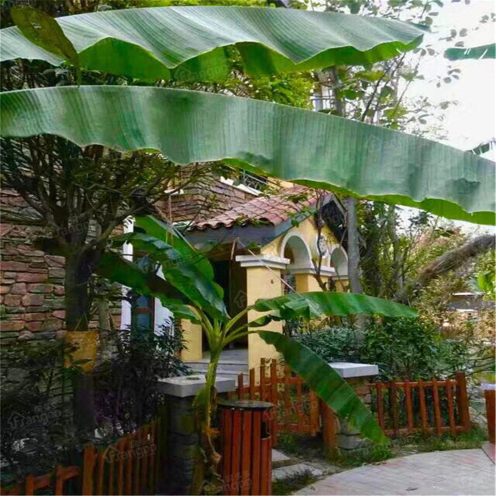 帕提欧小区图片