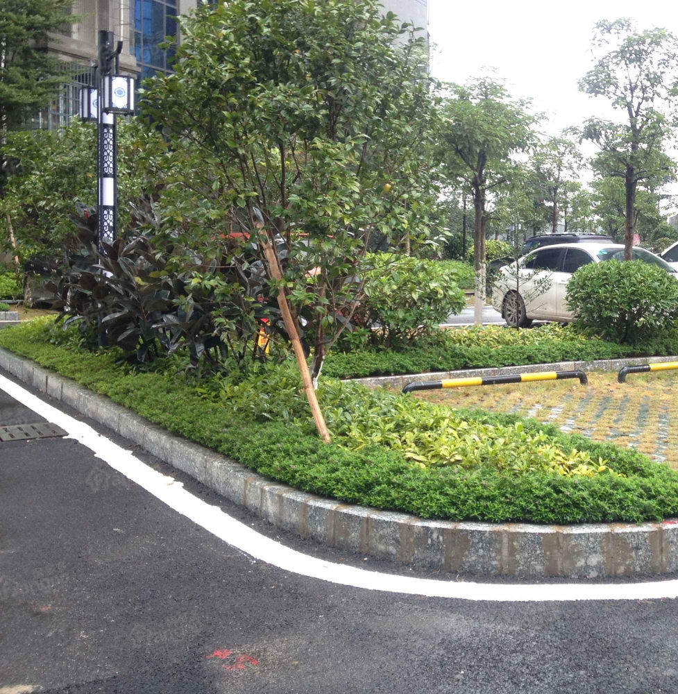 秀江广场小区图片