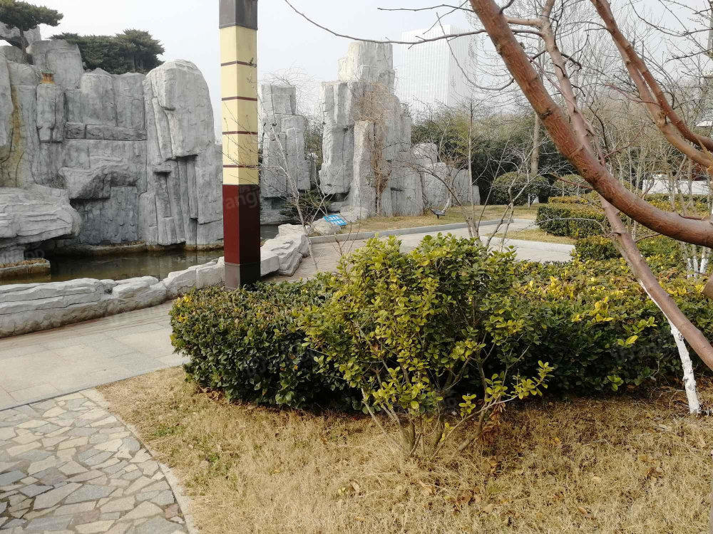 颐景恒泰小区图片