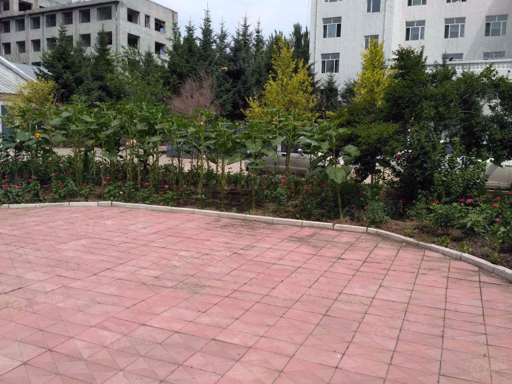 银河小区(通河)小区图片