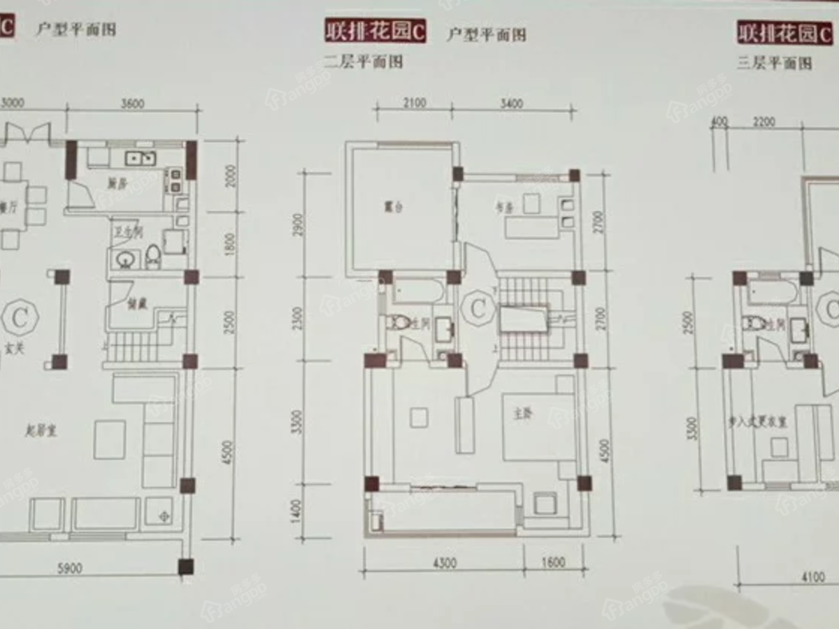 唐源香泉_0