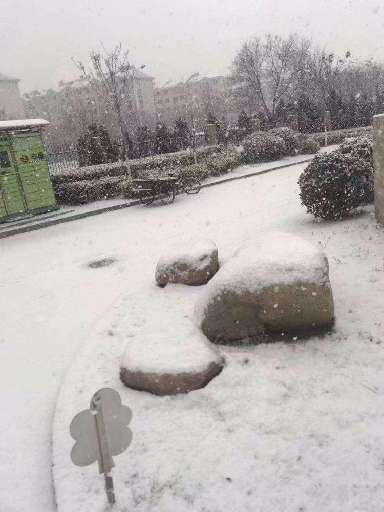 文苑小区小区图片