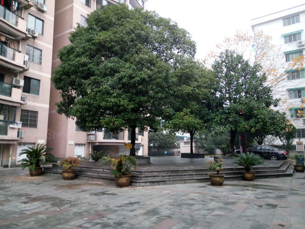 星河印象小区图片