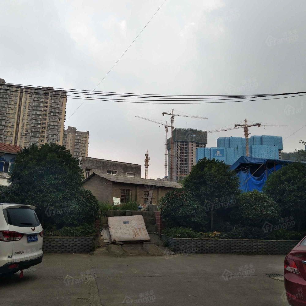 龙凤小区小区图片