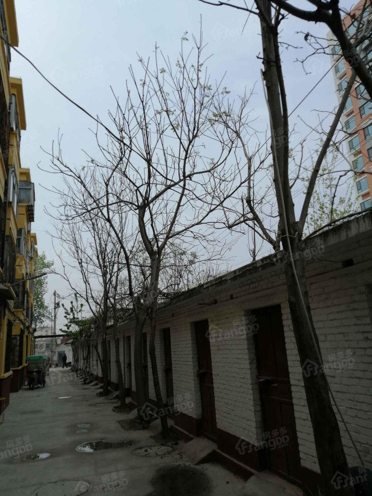 和平医院家属院小区图片