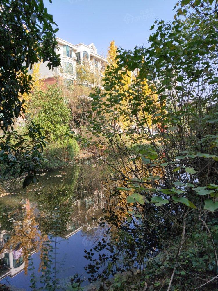 山水芙蓉国际新城小区图片