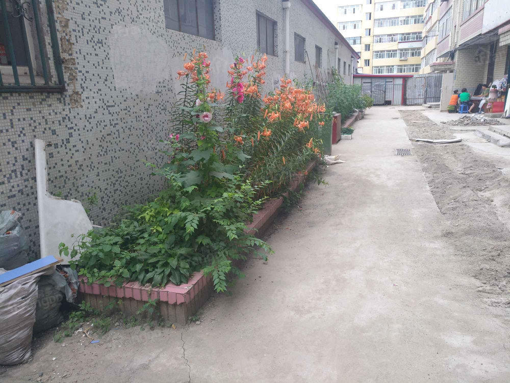 阳光公寓小区图片