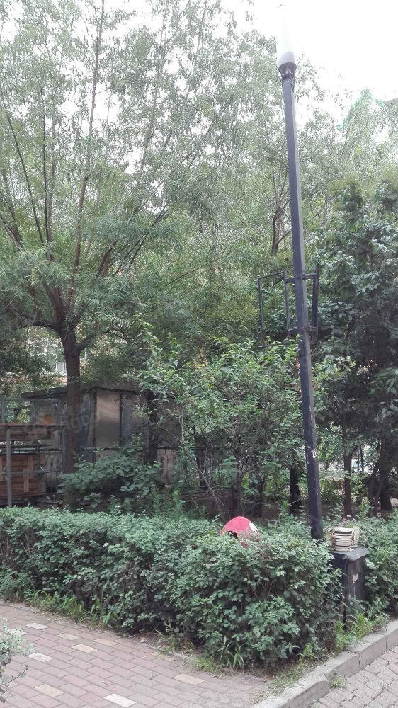 果园星城B区小区图片