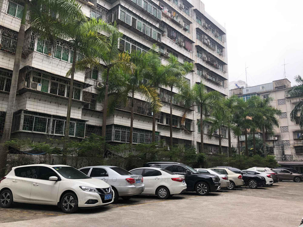 法院宿舍小区图片