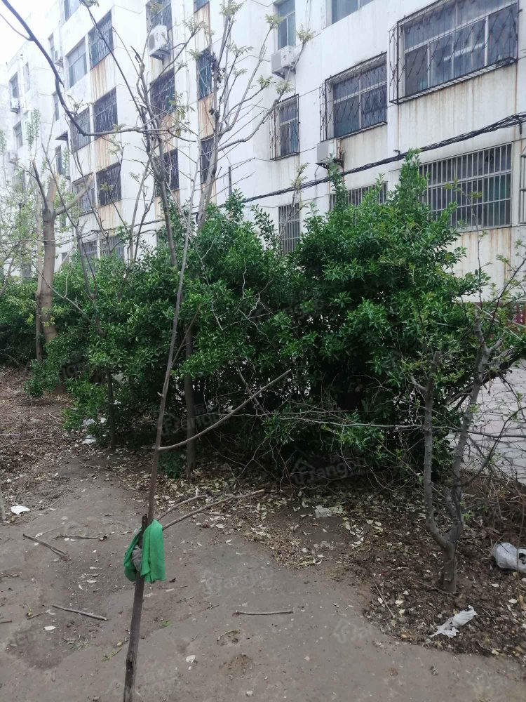 盐业公司家属院图片