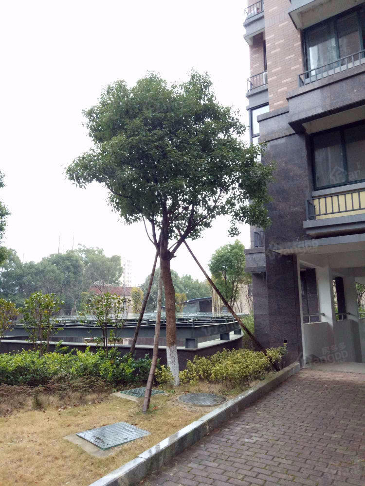 学南家园小区图片