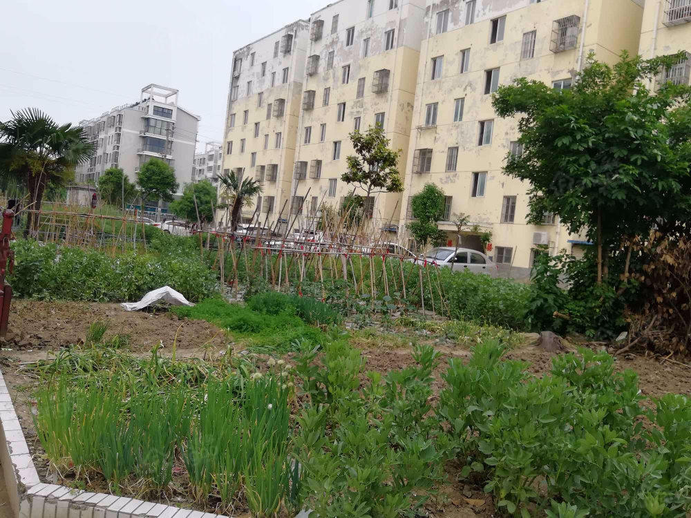星河晨光小区图片