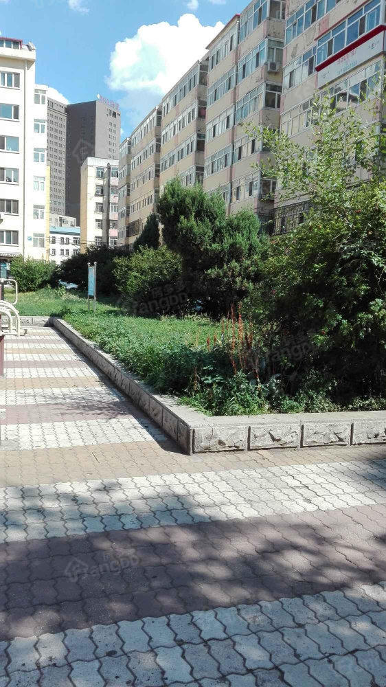 民生小区小区图片