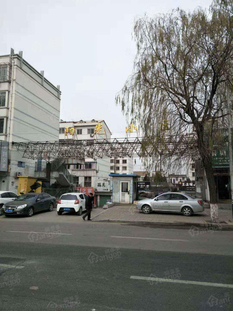 阳光小区小区图片