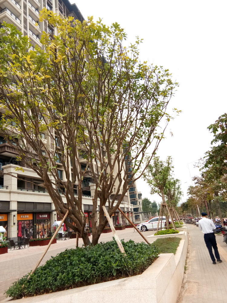 江景花园(良庆区)小区图片