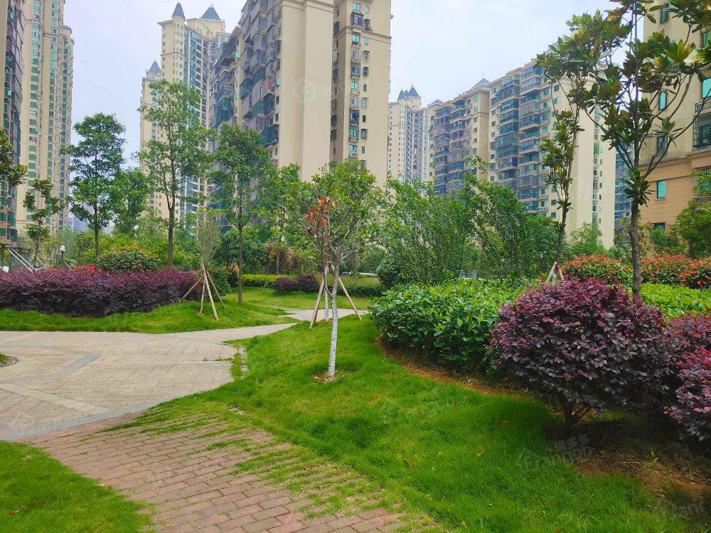 云梦新城小区图片