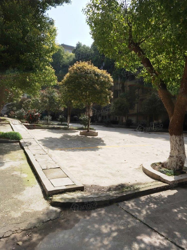 劳动局南院小区图片