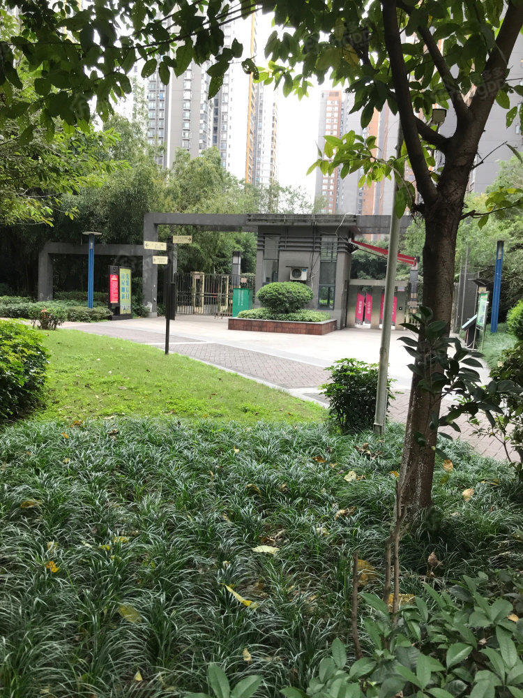 鲁能星城九街区A区小区图片