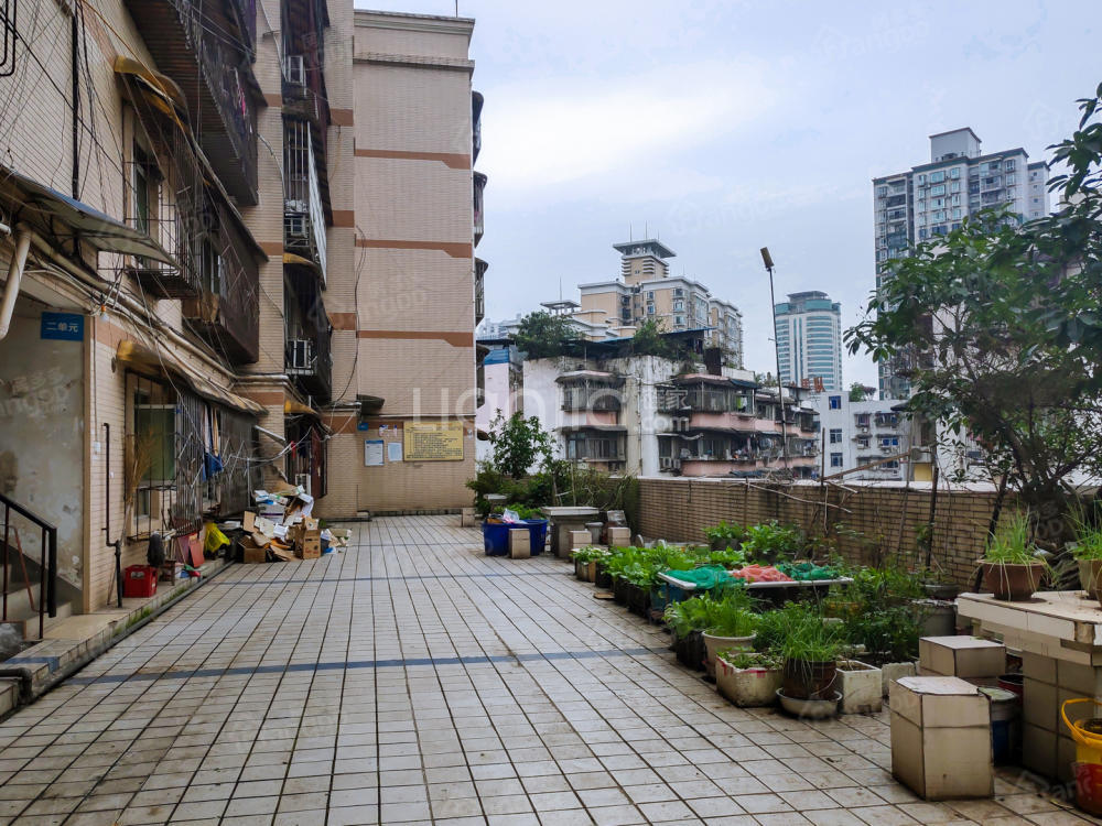 红石路5号小区图片