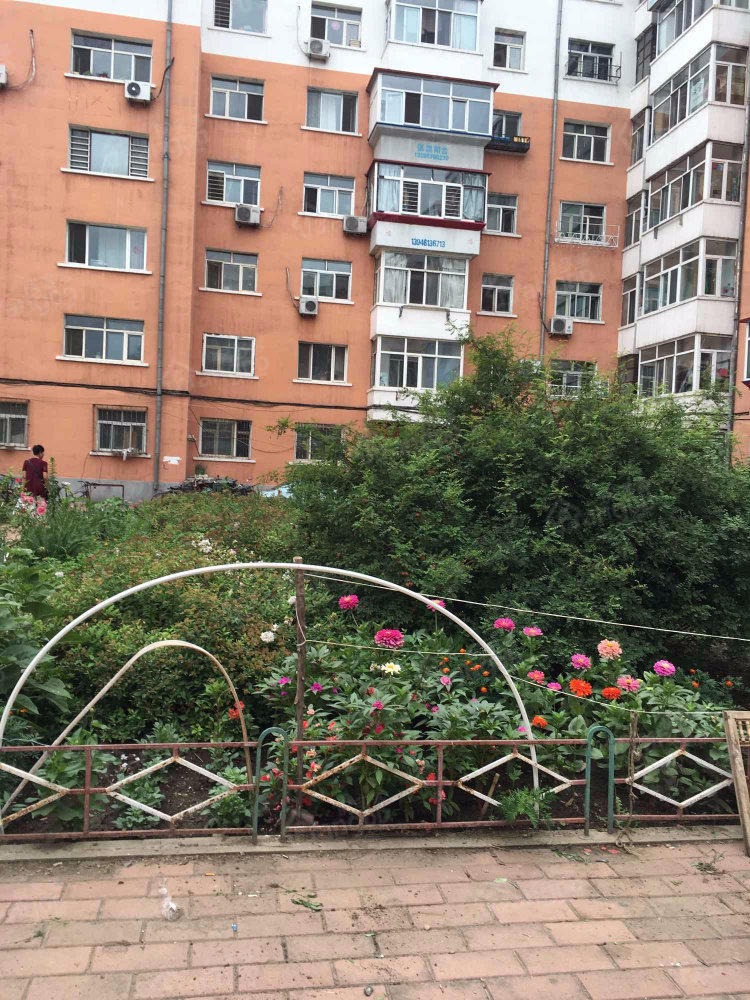 青年小区小区图片
