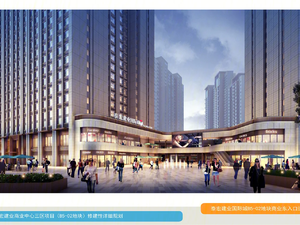 泰宏建业国际公寓
