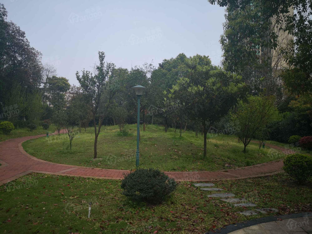 金叶小区小区图片