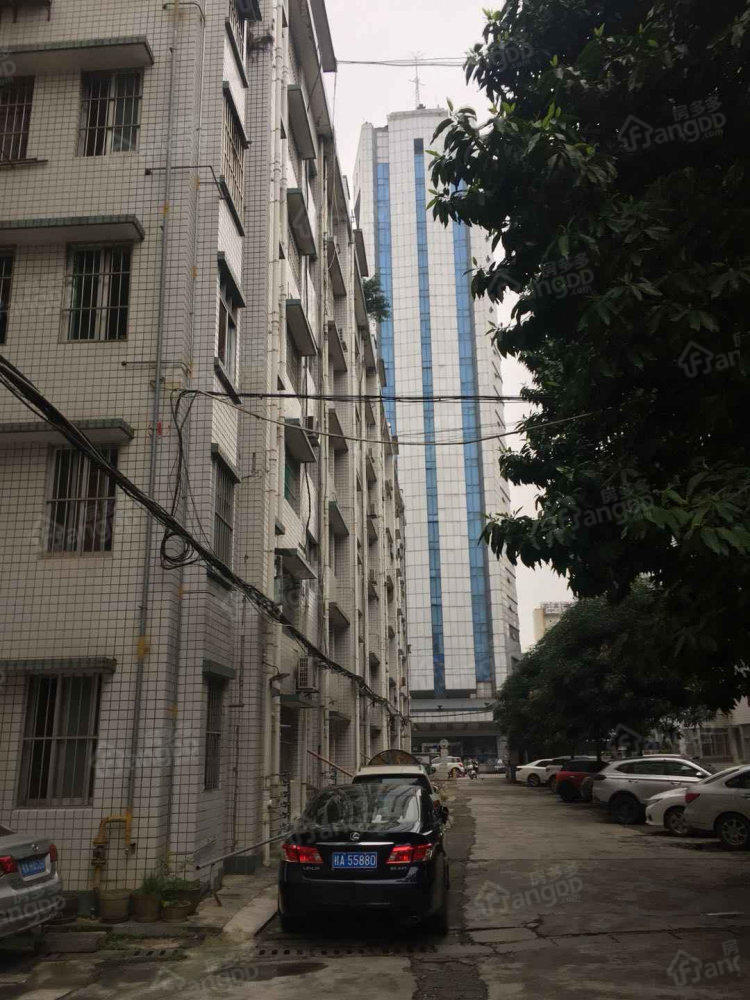 广西五矿集团公司宿舍小区图片