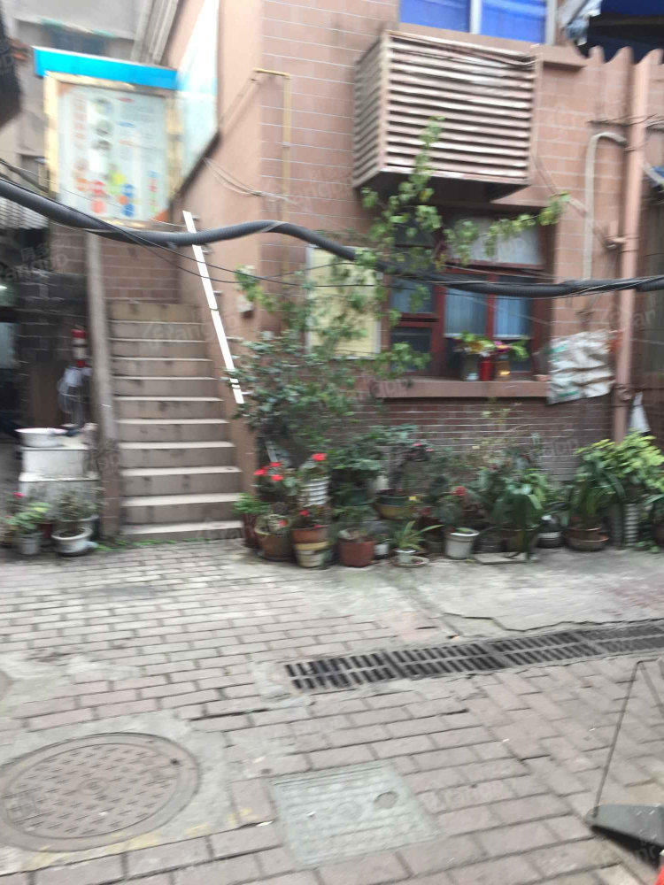 镋钯街75号小区图片