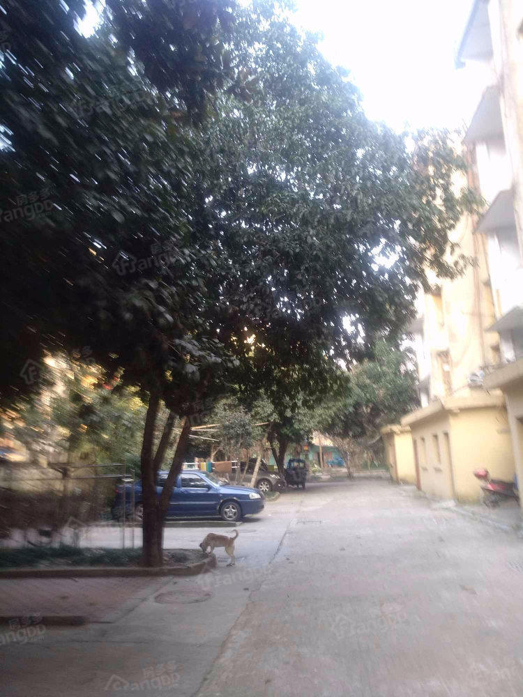 由拳里小区图片