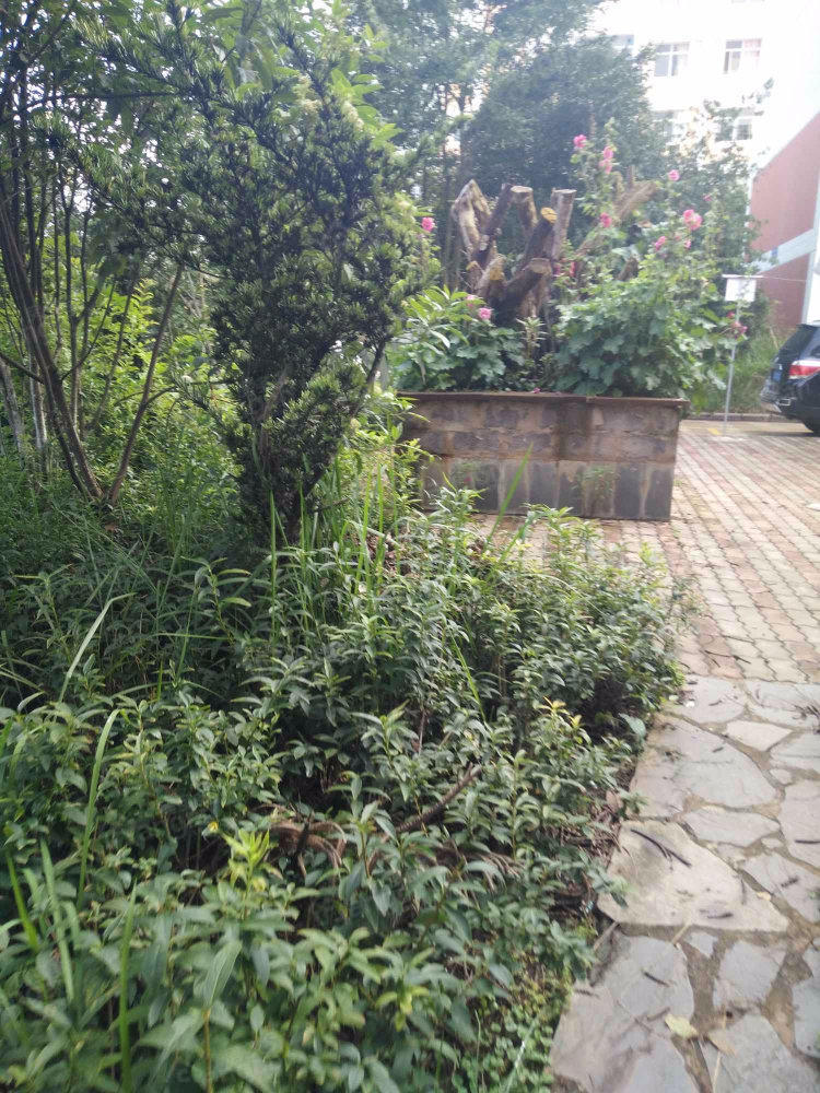 春雨小区小区图片