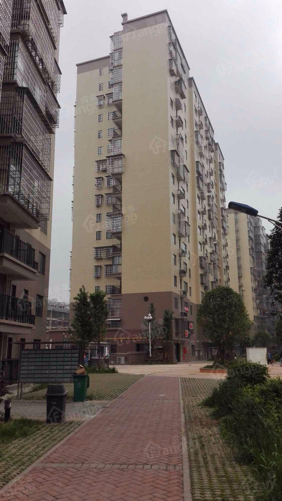 星城新宇莲景苑小区图片