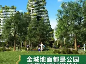 碧桂园森林城市