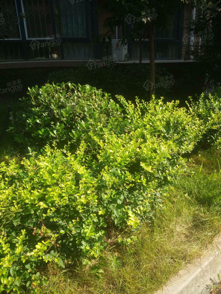 百特城市图片