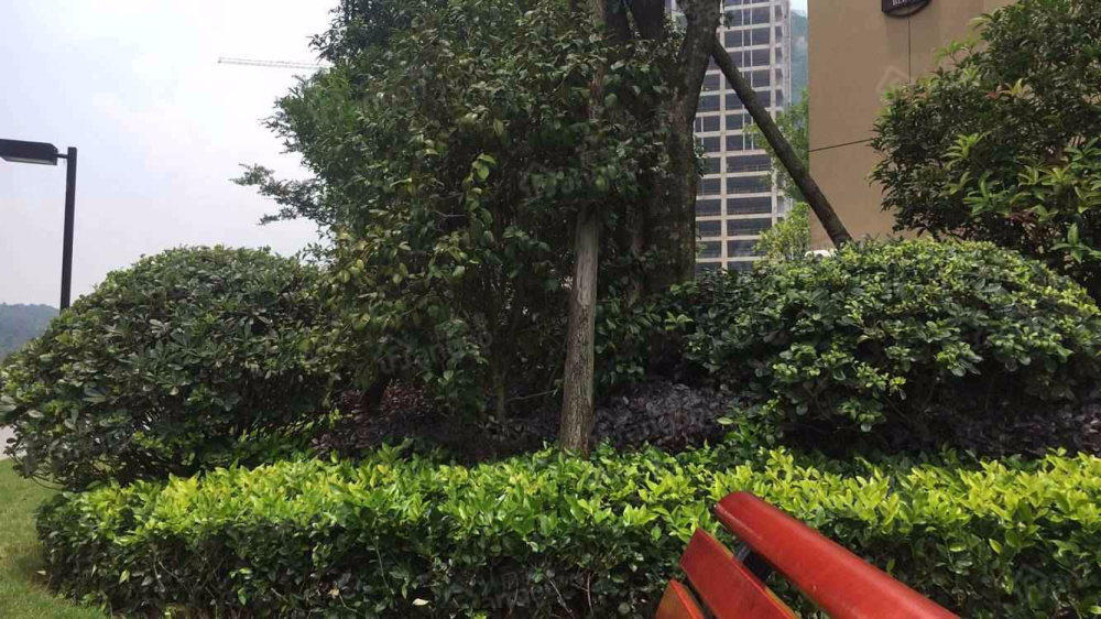 万科悦城小区图片