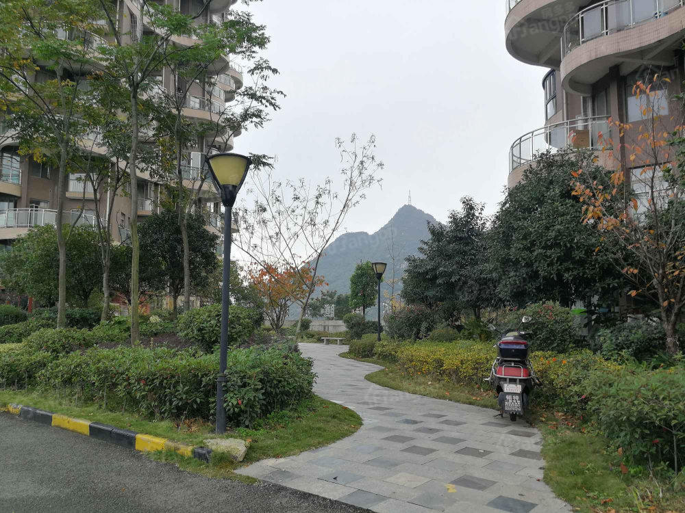 腾龙湾a2区小区图片